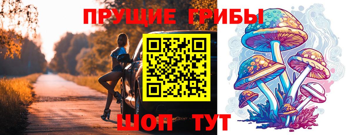 Тосно  Галлюциногенные грибы мухоморы  Вход с VPN 