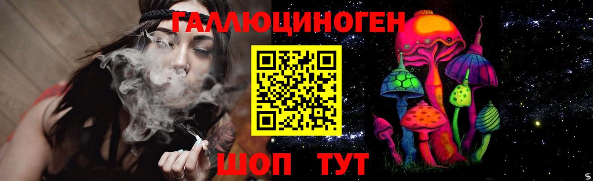 Псилоцибиновые грибы GOLDEN TEACHER Тосно